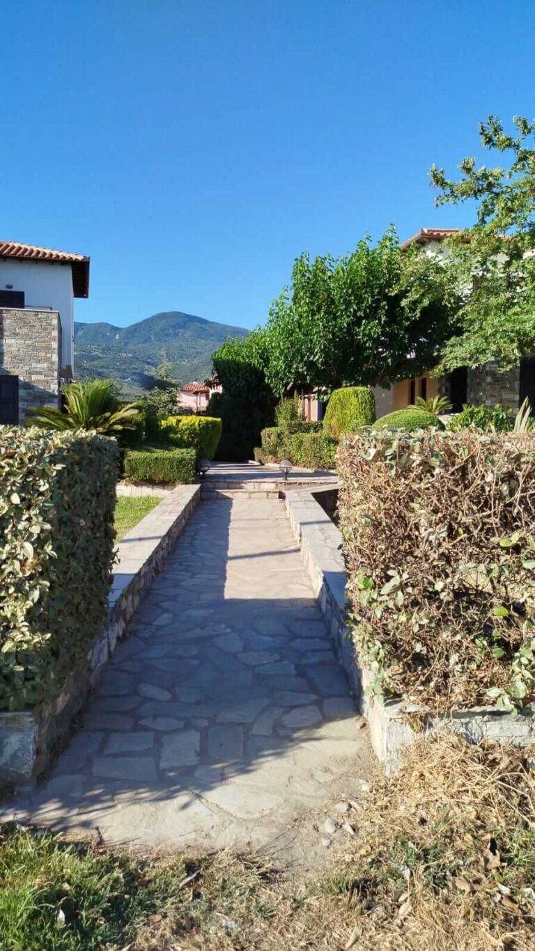 PHOTO-2024-08-27-10-13-47-1