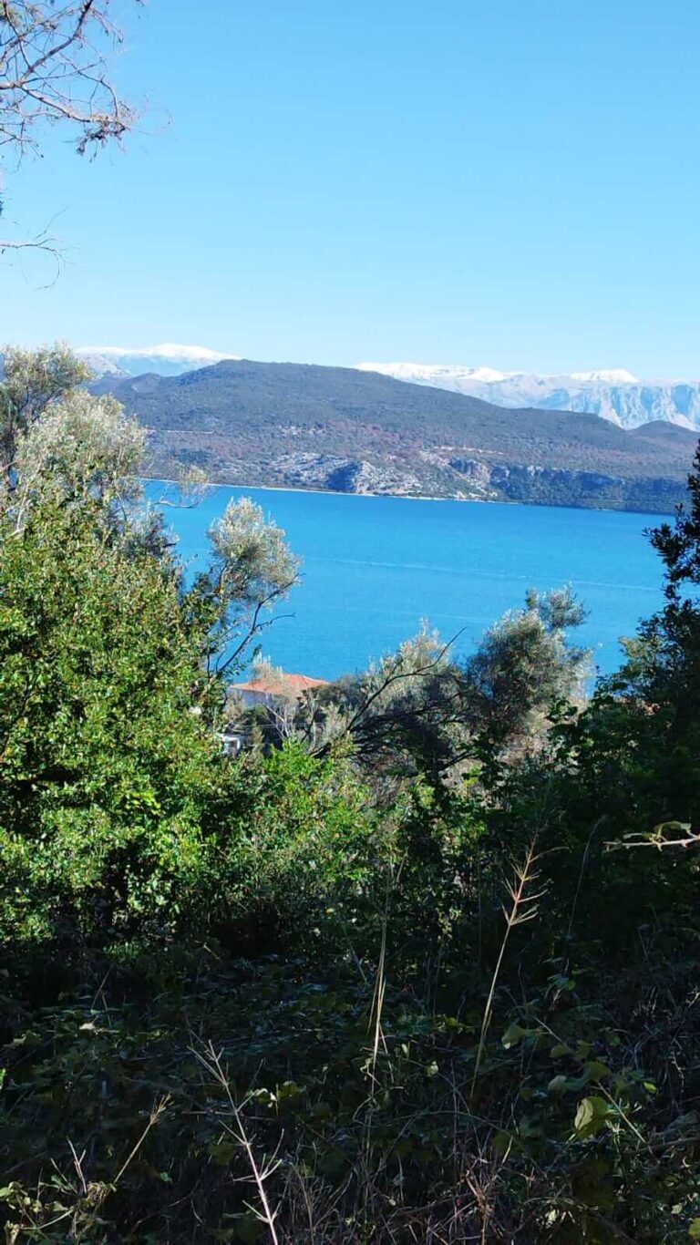 WhatsApp-Image-2023-02-02-at-10.53