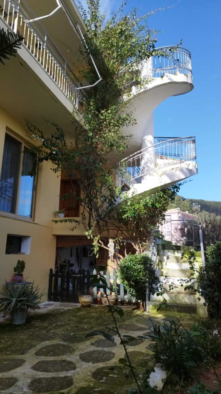 WhatsApp-Image-2023-02-02-at-10.53