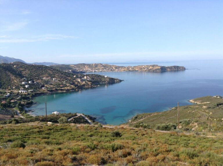 WhatsApp-Image-2024-03-07-at-20.34