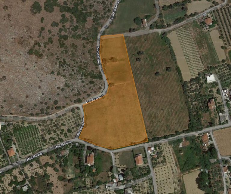 img_3b1e4ad9-0ff9-4350-88d8-7067448cabdf