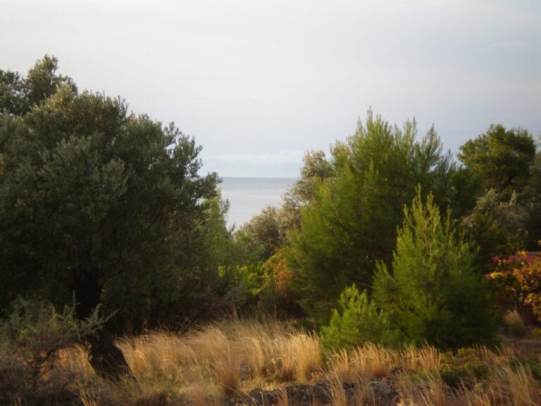 sea-view-from-the-plot-scaled