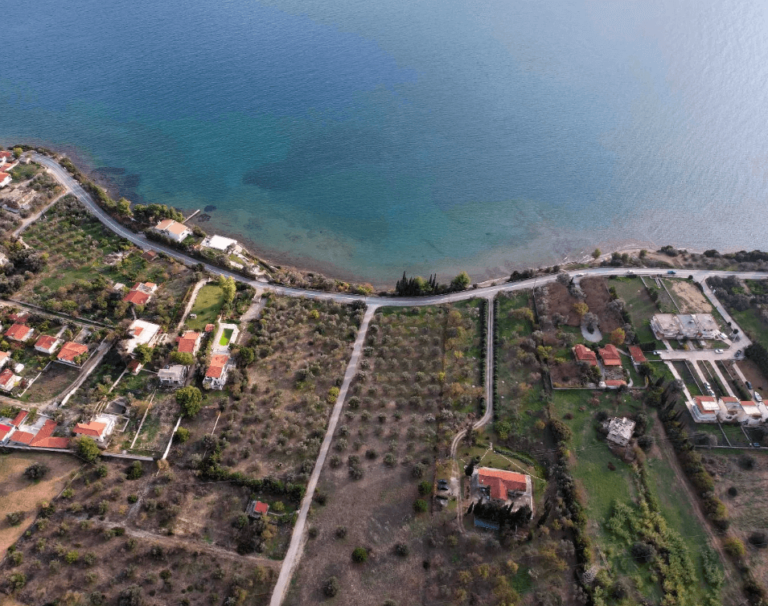 צילום-מסך-2023-05-09-155556