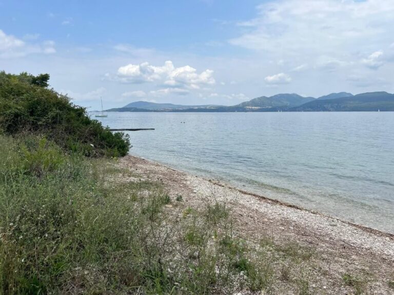 צילום-מסך-2023-07-02-132812