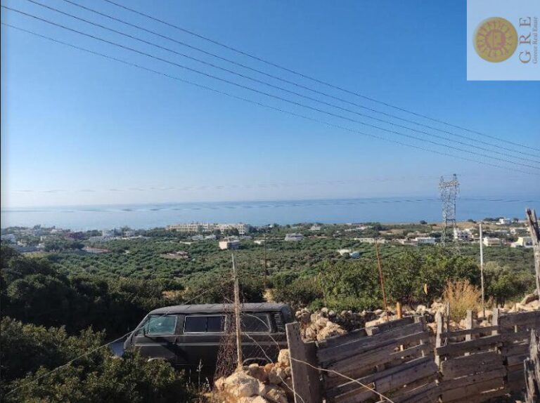 צילום-מסך-2023-07-12-150843-e1689164236754