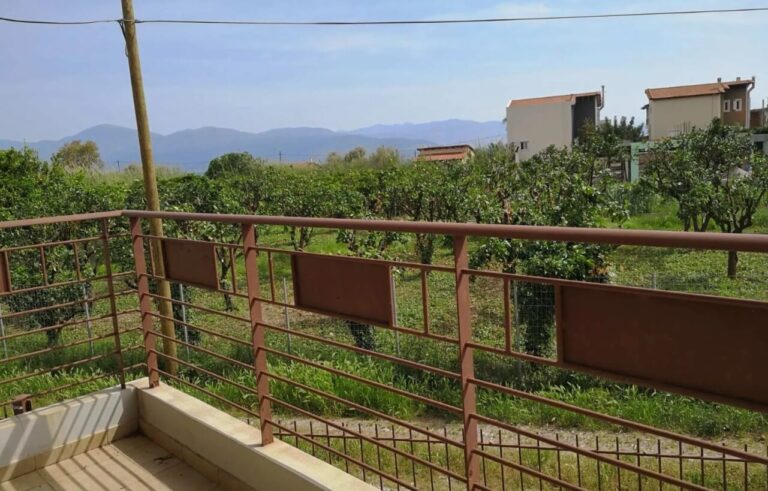 צילום-מסך-2023-08-03-161011