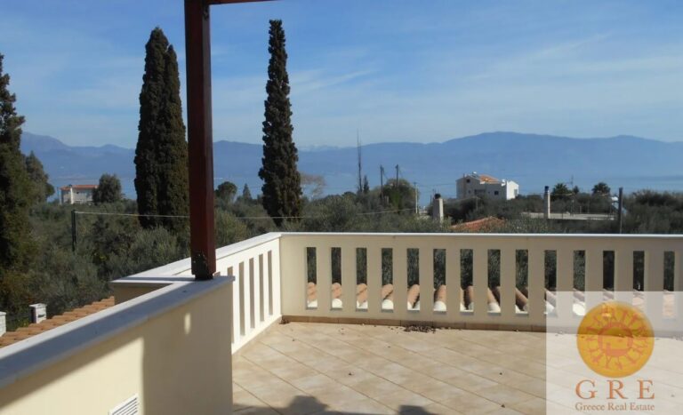 צילום-מסך-2023-08-04-110844-1