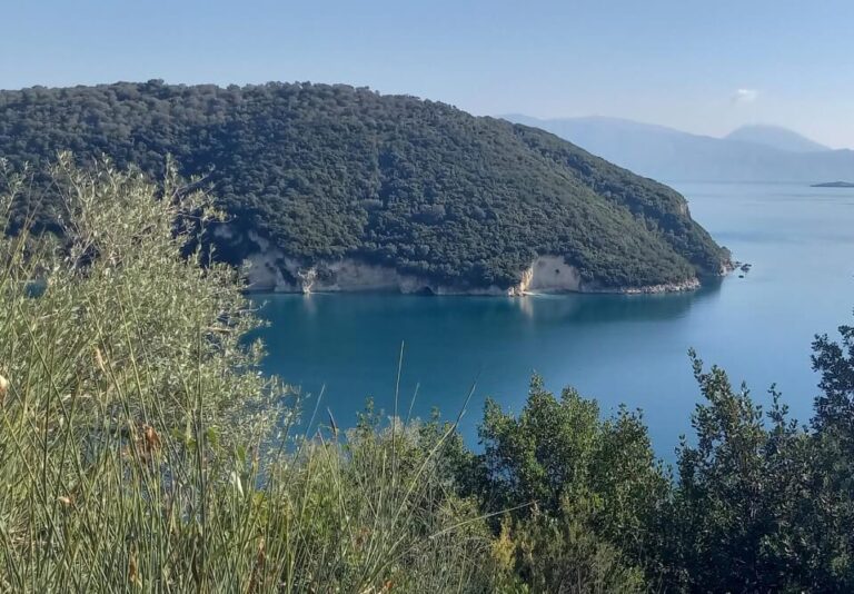 צילום-מסך-2023-08-09-123937