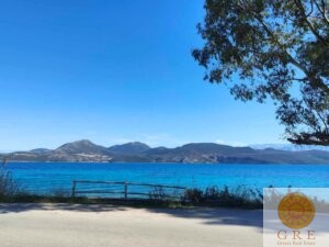 אדמה 456 לפקדה