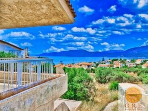 בית מסורתי 06 פלופונס