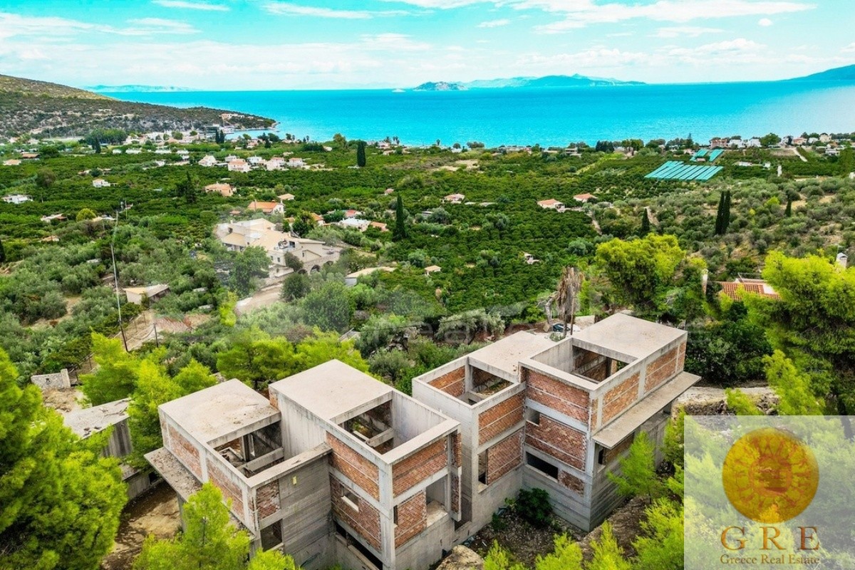 שלד 02 פלופונס – תמונה 3