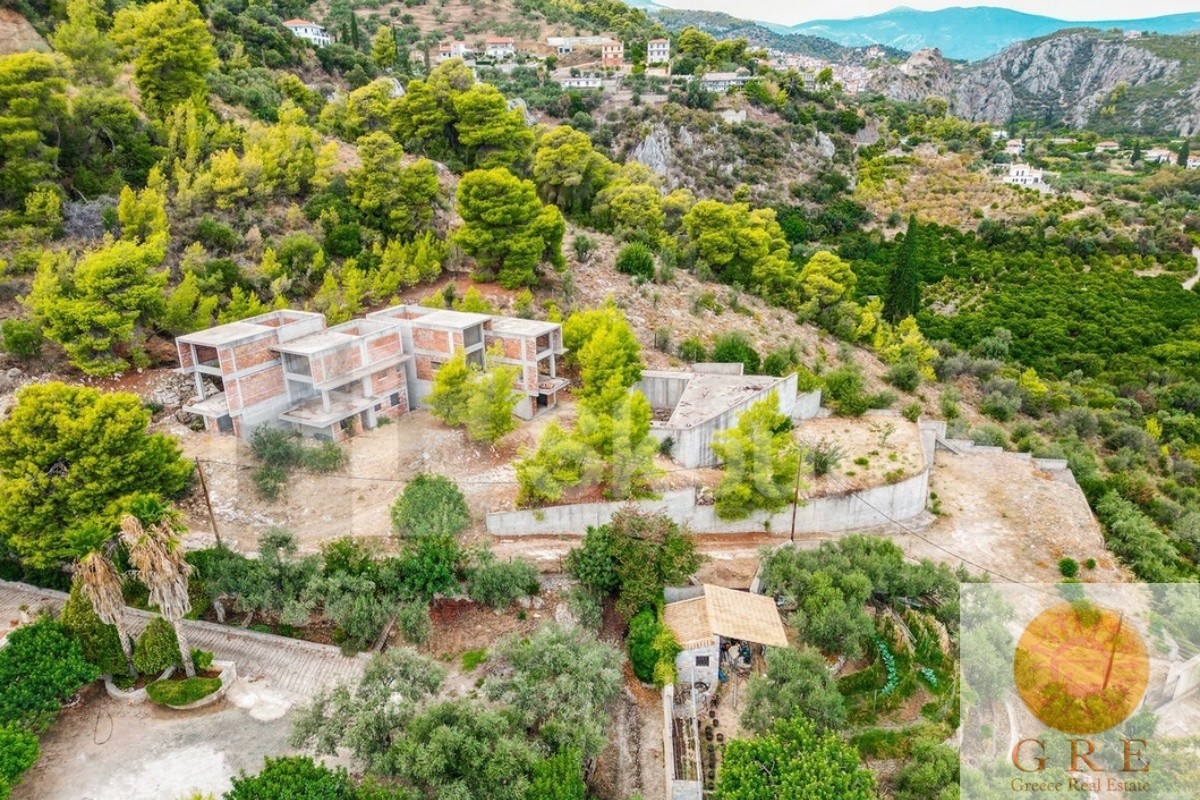 שלד 02 פלופונס – תמונה 4