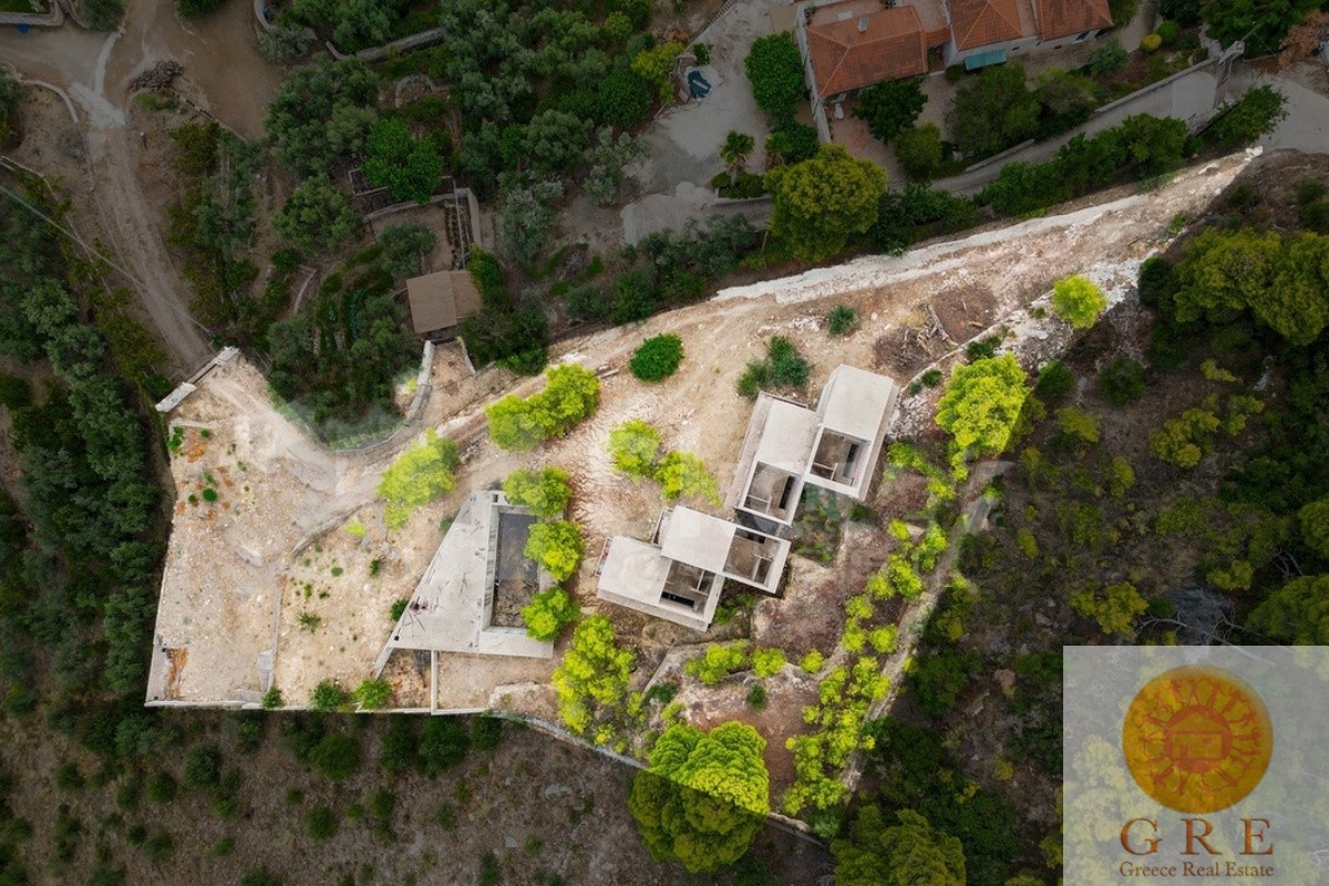 שלד 02 פלופונס – תמונה 2