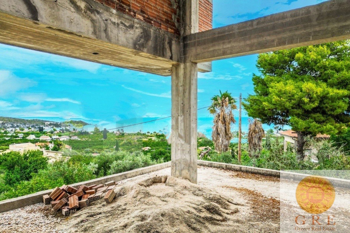 שלד 02 פלופונס