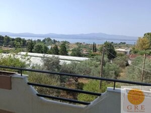 בית מסורתי 59 אוויה