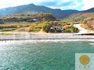 בית מסורתי 07 פלופונס