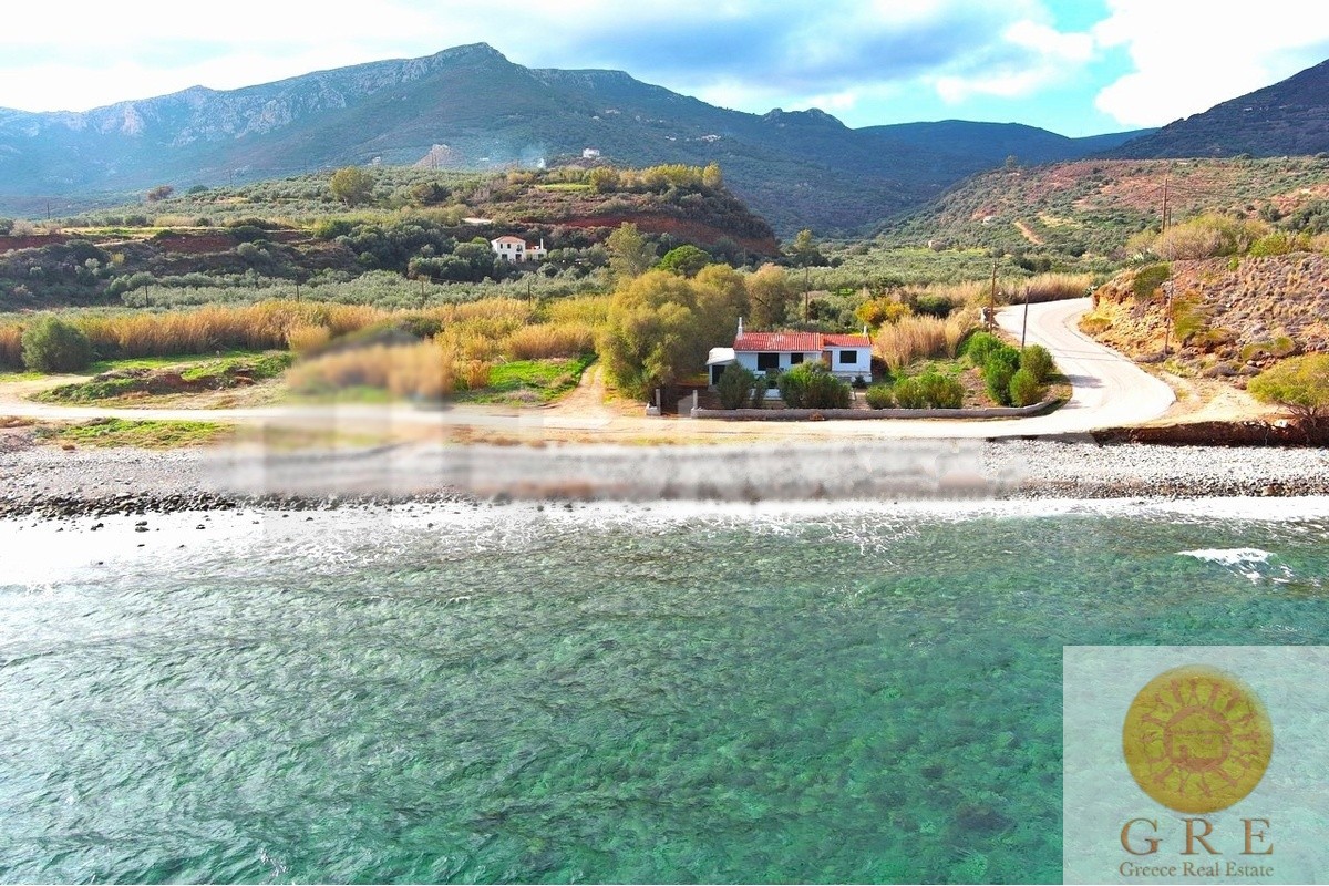 בית מסורתי 07 פלופונס