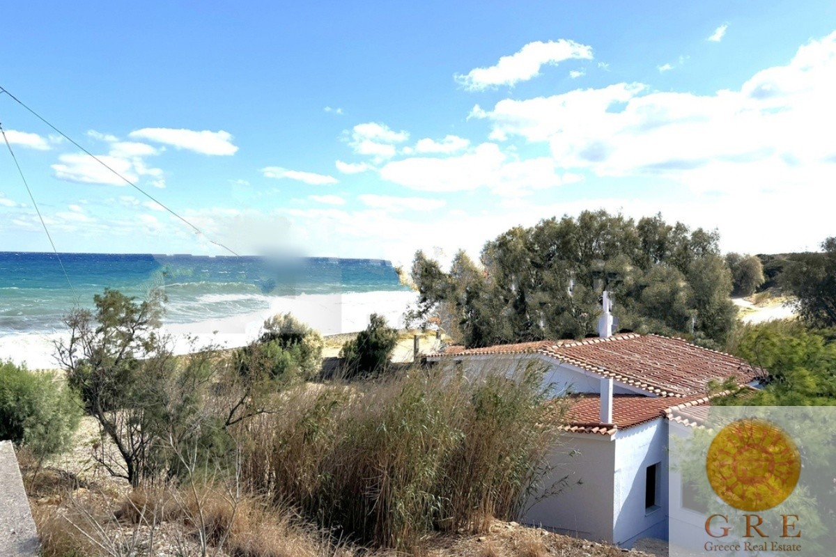 בית מסורתי 07 פלופונס – תמונה 4