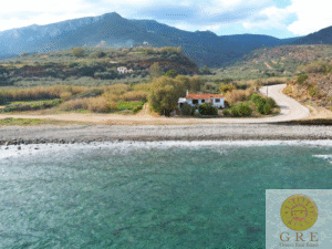 בית מסורתי 07 פלופונס