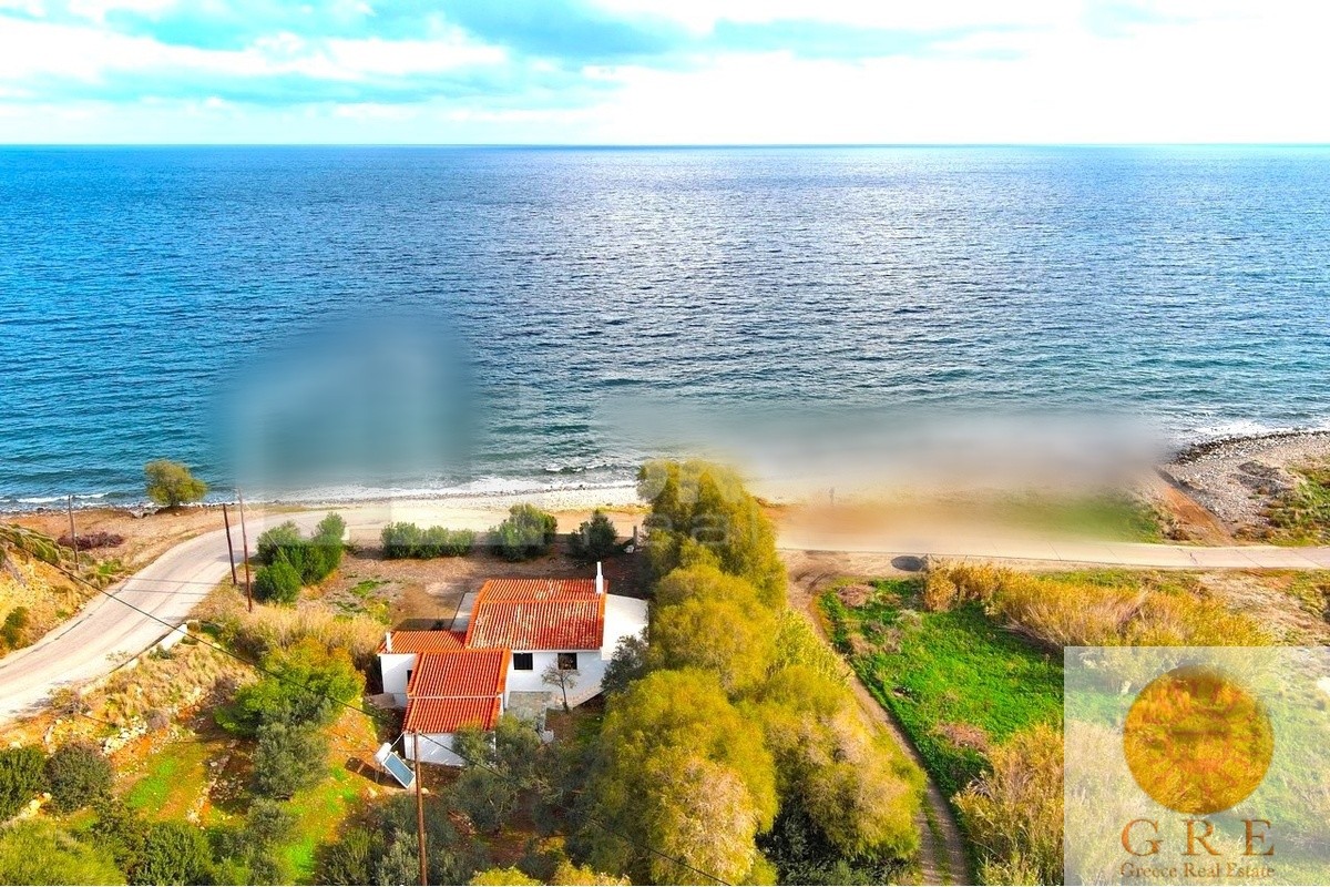 בית מסורתי 07 פלופונס – תמונה 3