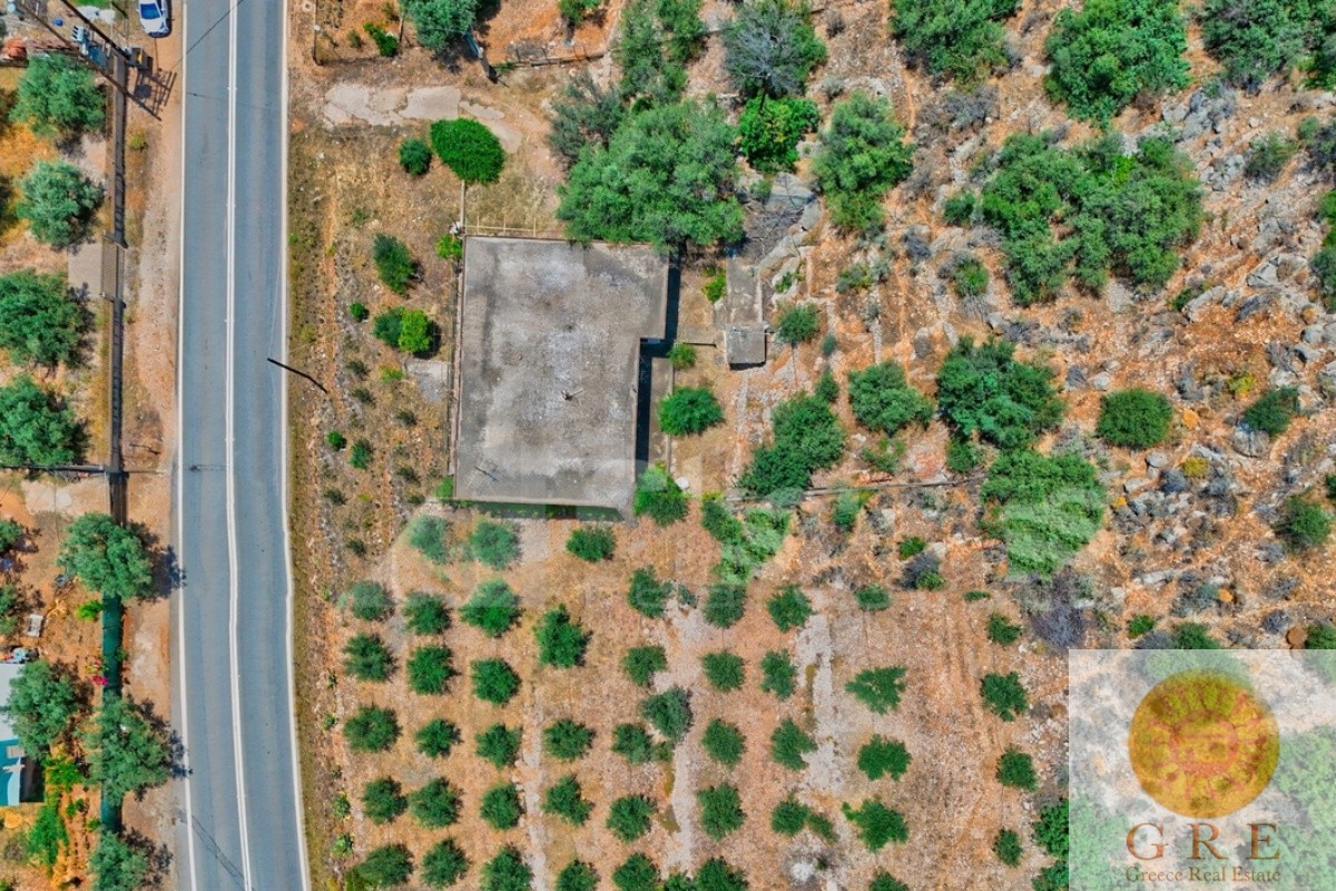 בית מסורתי 10 פלופונס – תמונה 2