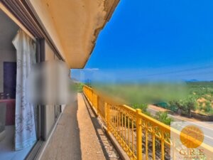 בית מסורתי 10 פלופונס