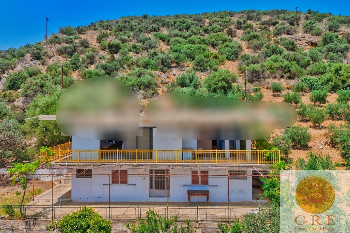 בית מסורתי 10 פלופונס – תמונה 3