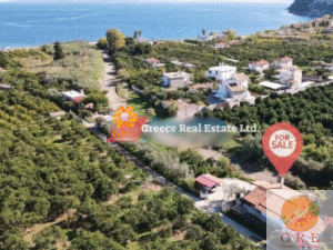 בית מסורתי 12 פלופונס