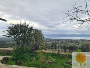 בית מסורתי 60 אוויה