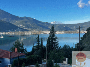 וילה 238 לפקדה