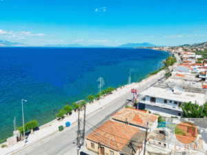 בית מסורתי 13 פלופונס