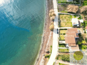 בית מסורתי 13 פלופונס