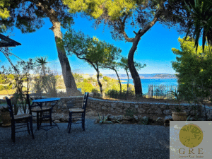 דירה 10 פלופונס