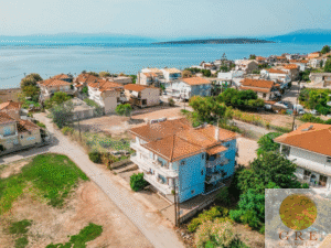 דירה 11 פלופונס