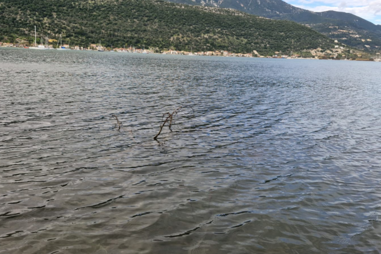 Land 459 Lefkada (1)