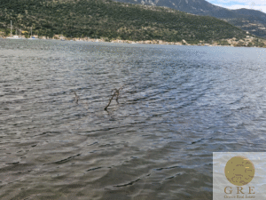 אדמה 459 לפקדה