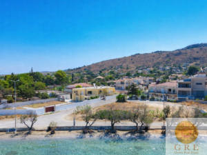 בית מסורתי 20 פלופונס