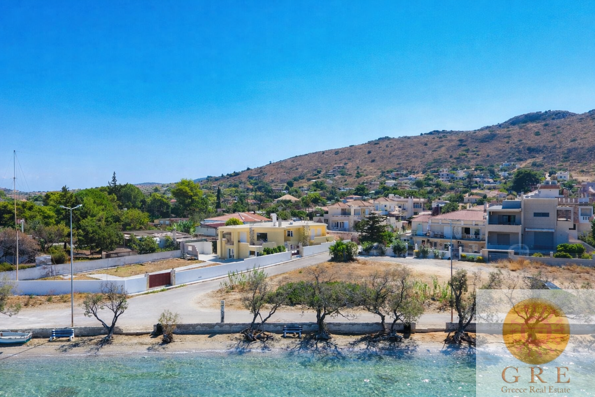 בית מסורתי 20 פלופונס