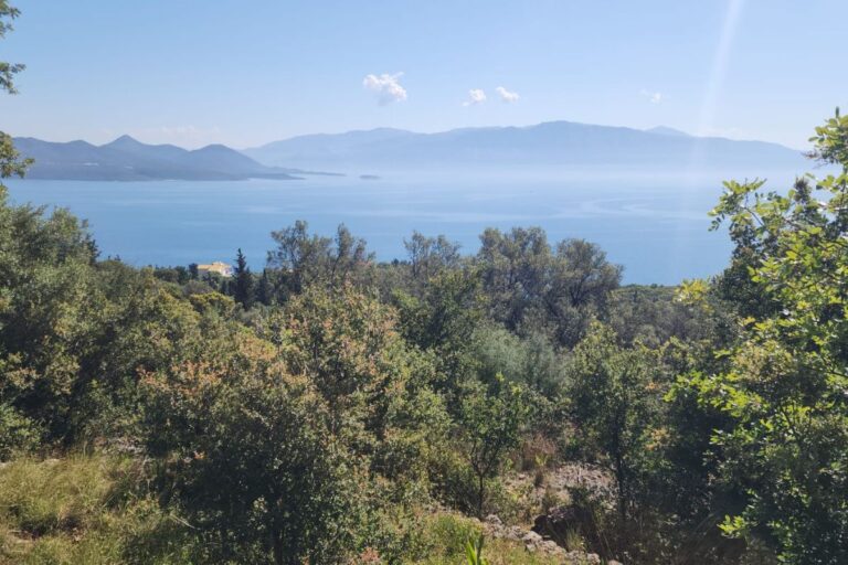 Land 462 lefkada (3)