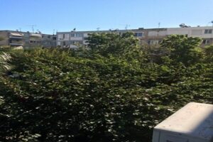 דירה 03 אתונה - תמונה 1