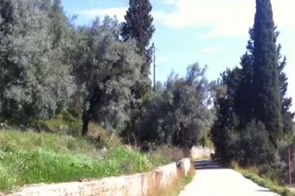 אדמה 81 - תמונה 1