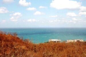 אדמה בכריתים 10 - תמונה 1