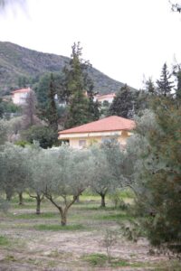 וילה 15 חלקדיקי - תמונה 1
