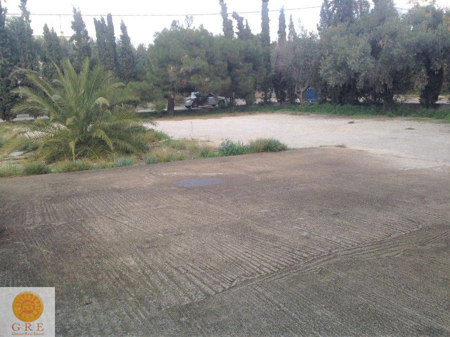 אדמה 06 אתונה - תמונה 1