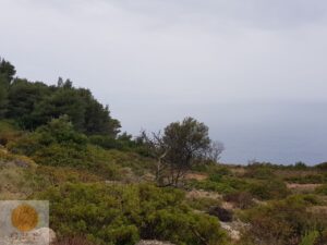 אדמה 231 לפקדה - תמונה 1