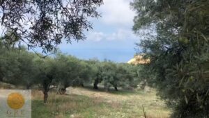 אדמה 241 לפקדה - תמונה 1