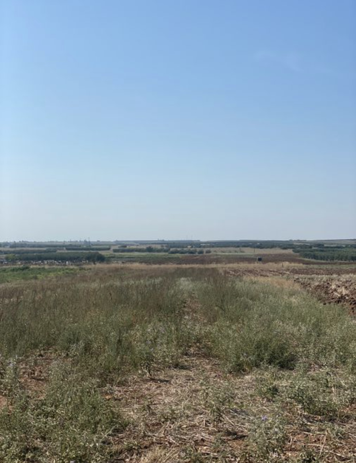 אדמה 03 סלוניקי - תמונה 1