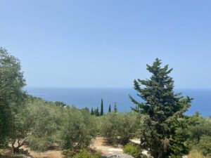 אדמה 348 לפקדה - תמונה 1