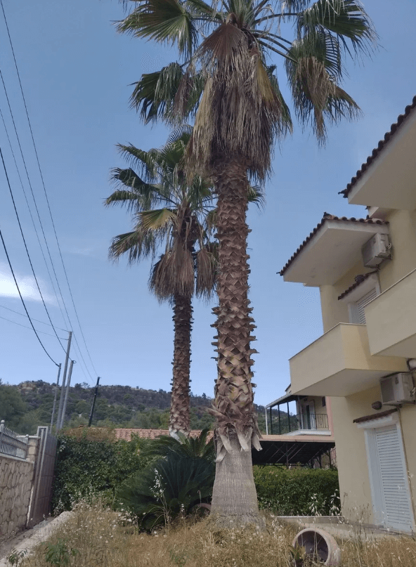 וילה 42 עד שעתיים מאתונה - תמונה 1