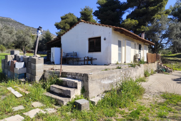 Traditional House 66 Evia (7)